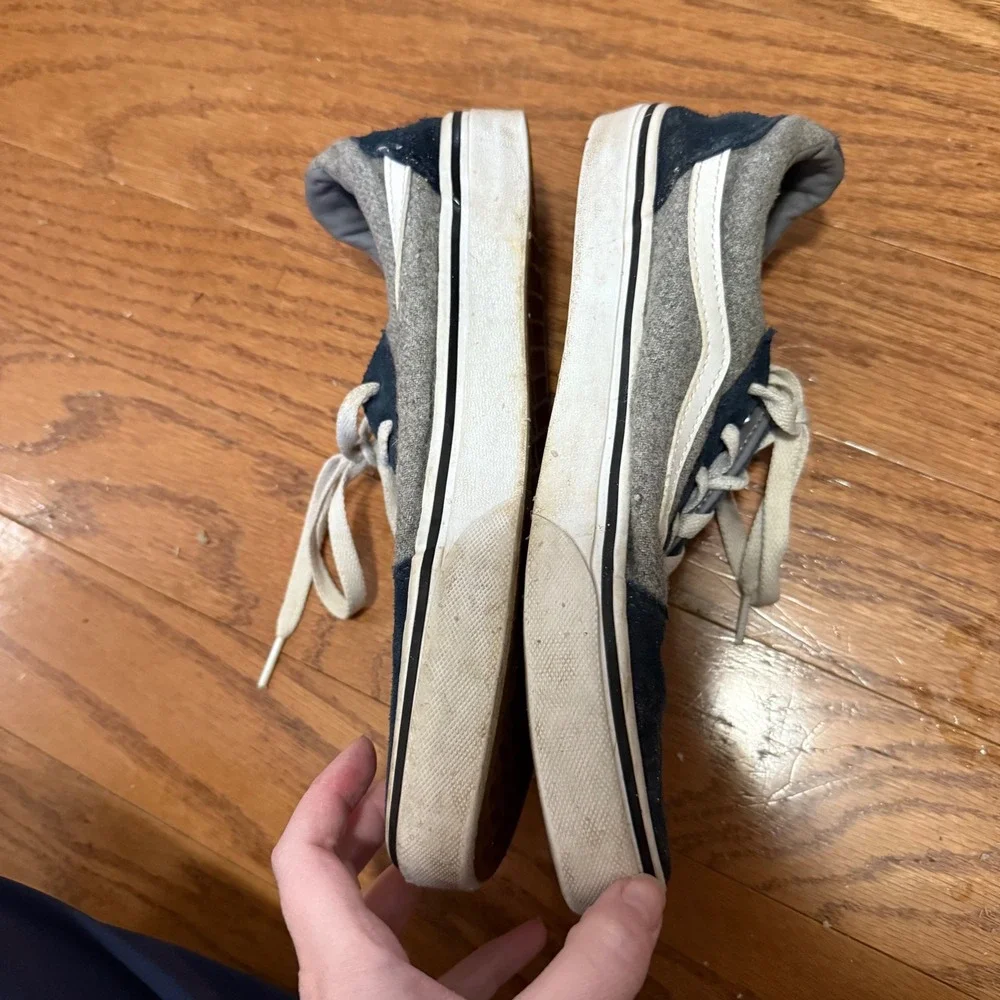 Vans iconic skate